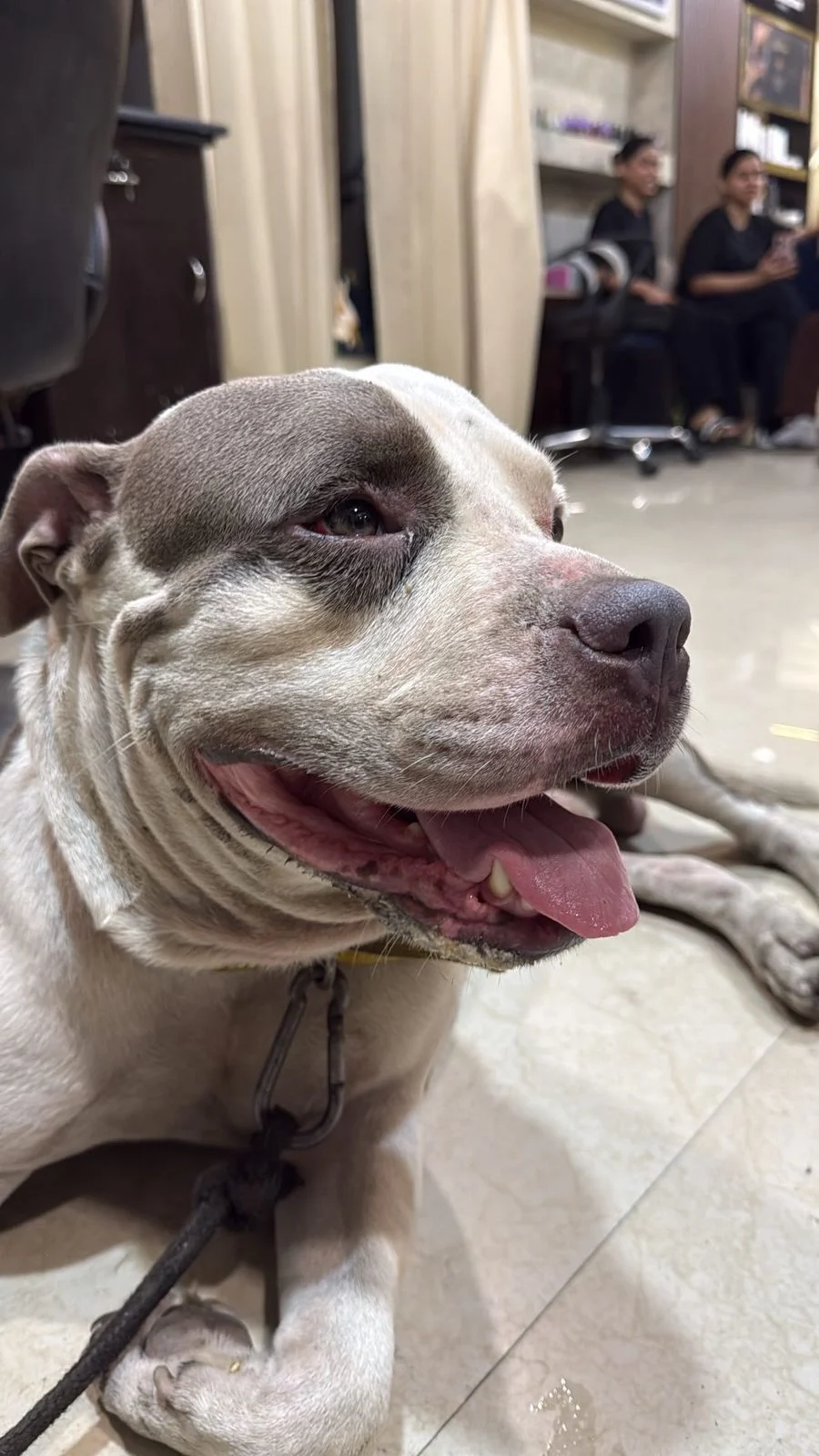 Abandoned boy looking for a loving home in Delhi NCR