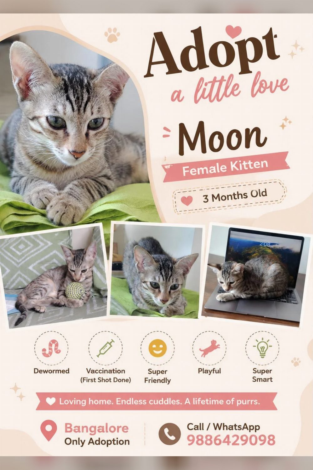 Adopt Moon — Bengaluru