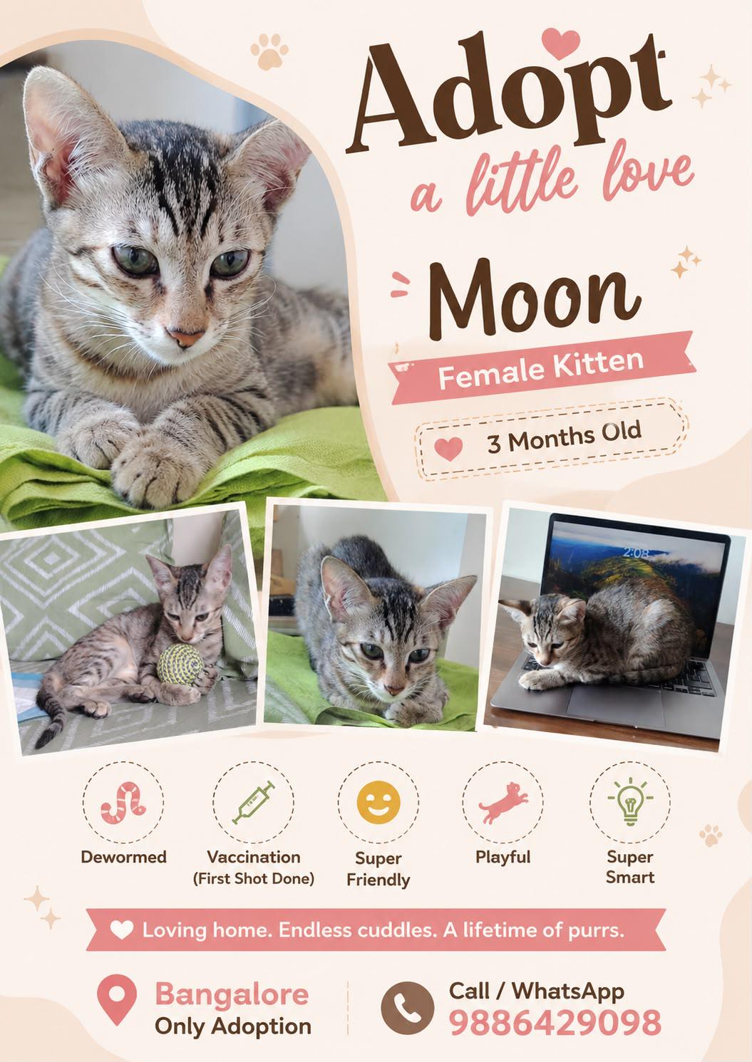 Adopt Moon — Bengaluru