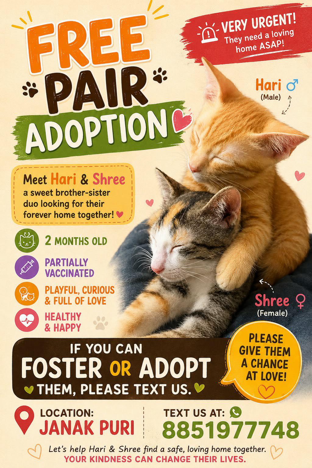 Adoption alert — Delhi NCR
