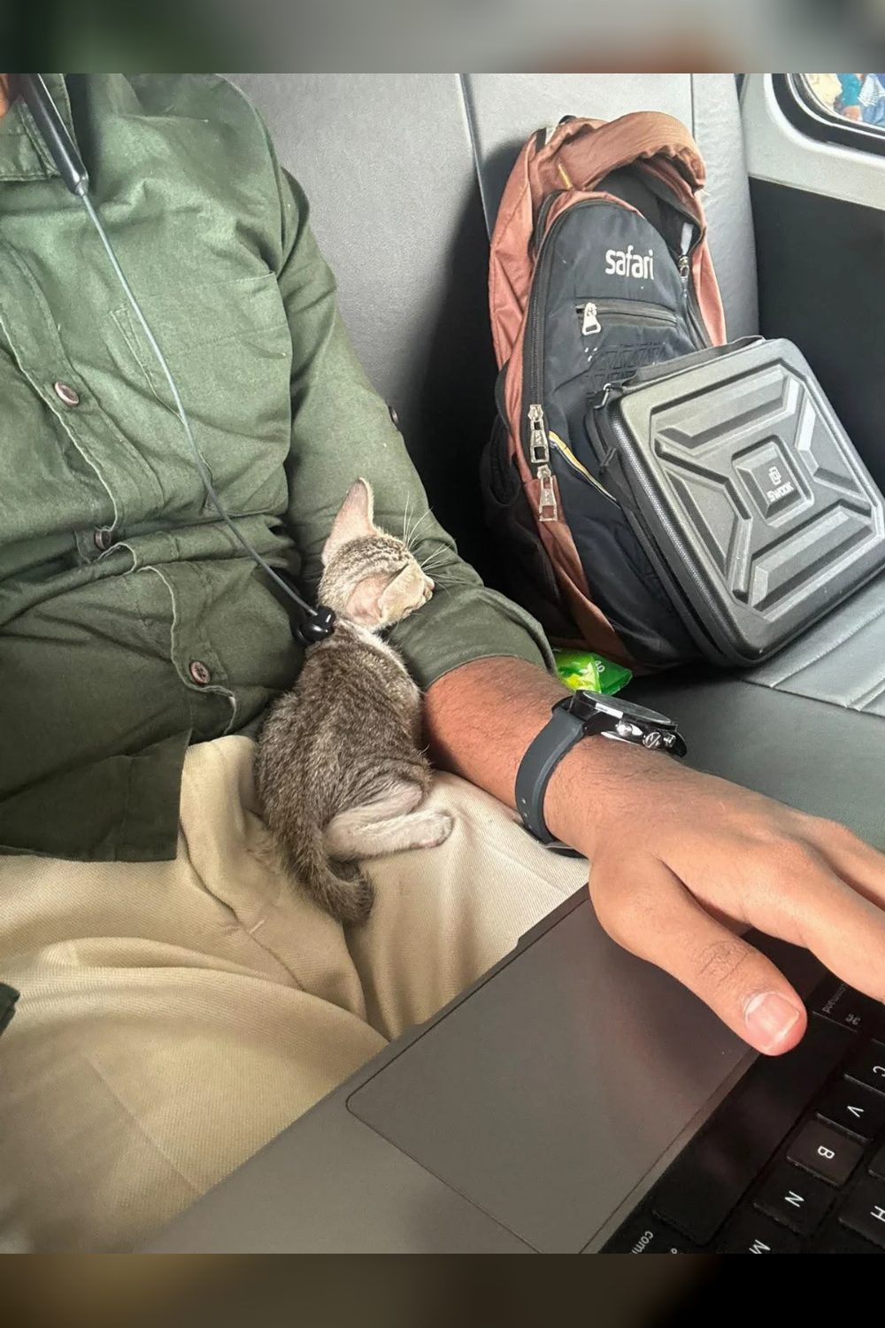 Urgent foster/adopter required in Chennai!