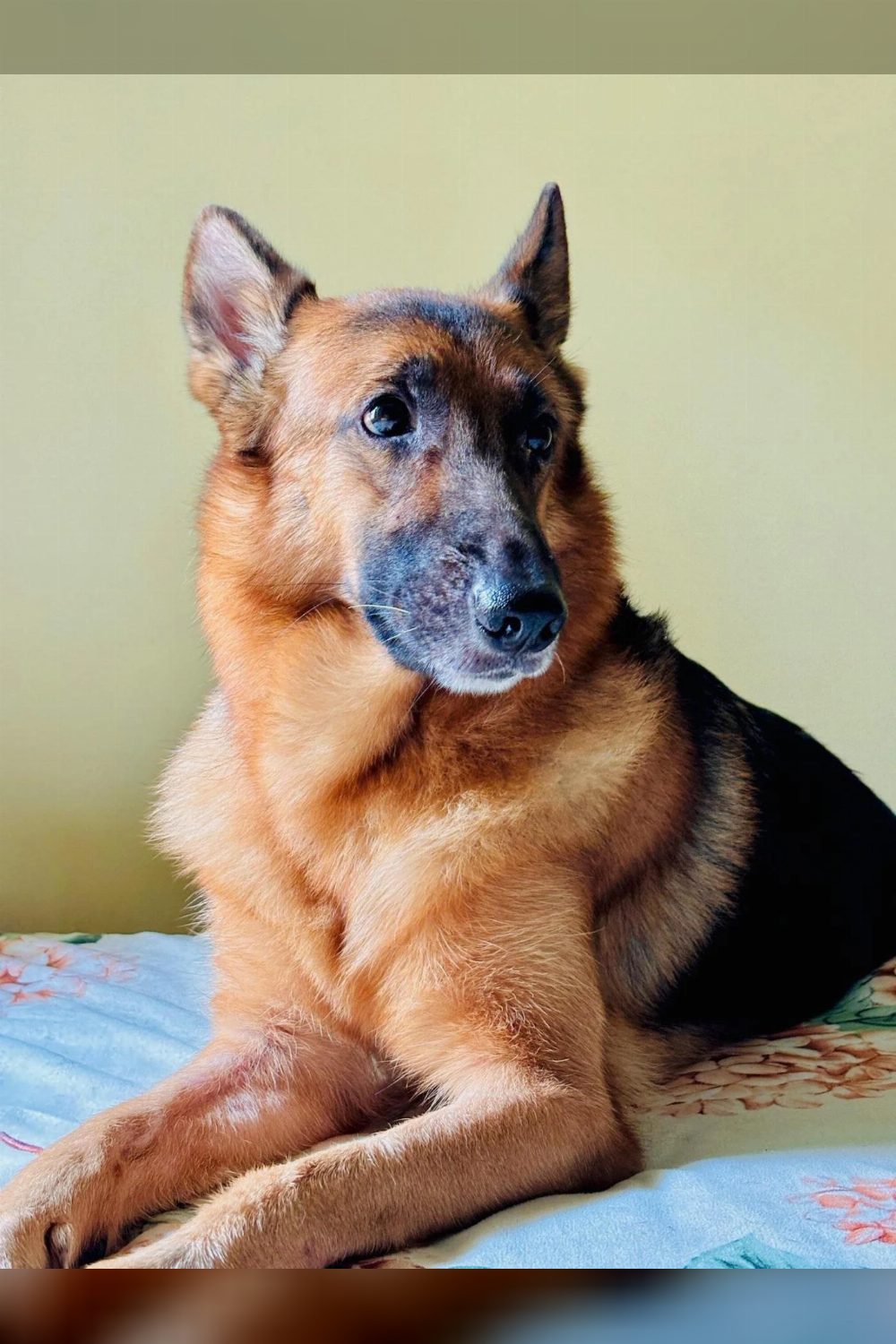 Finding a new home for coco — Bhubaneswar