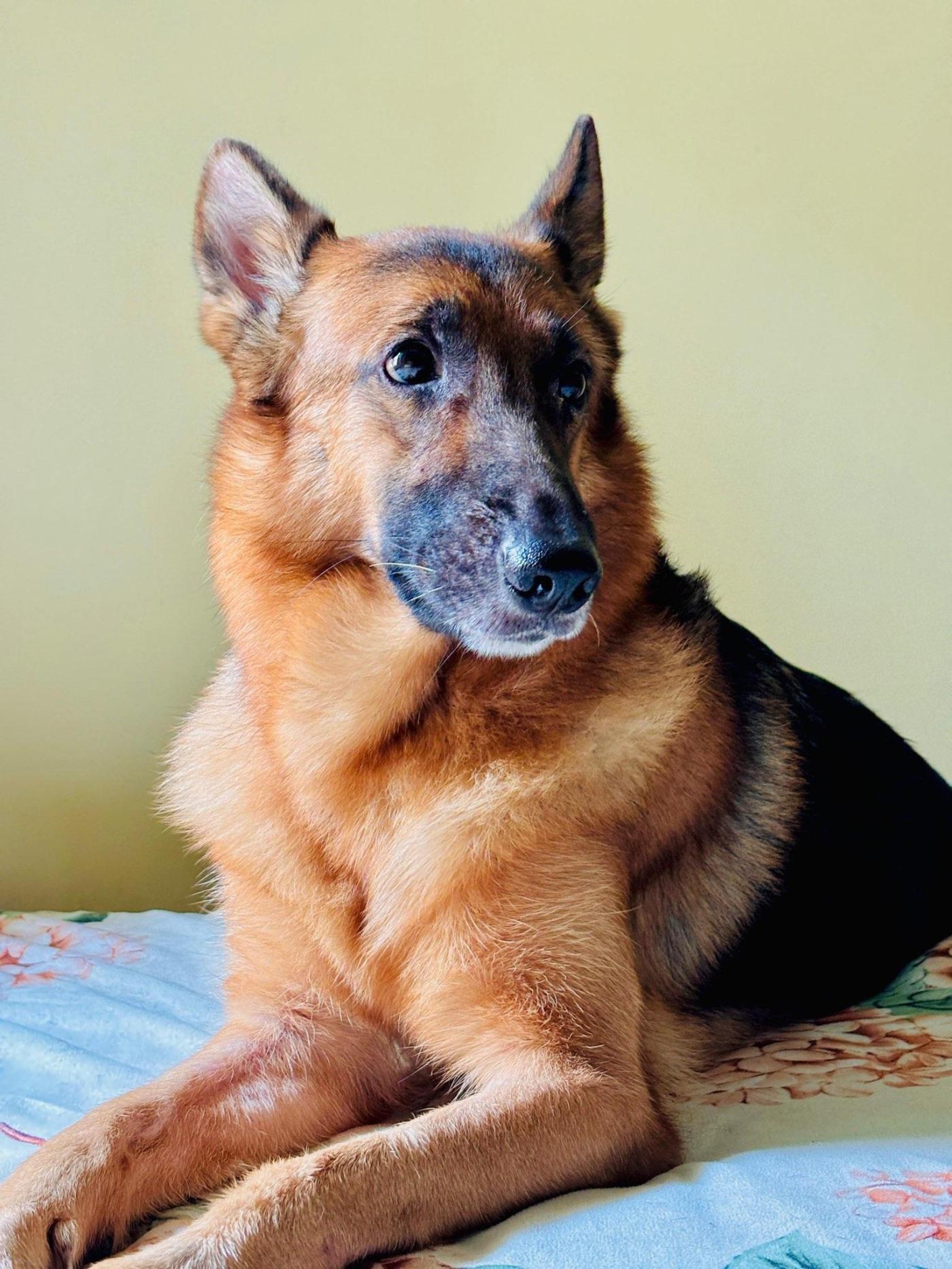 Finding a new home for coco — Bhubaneswar