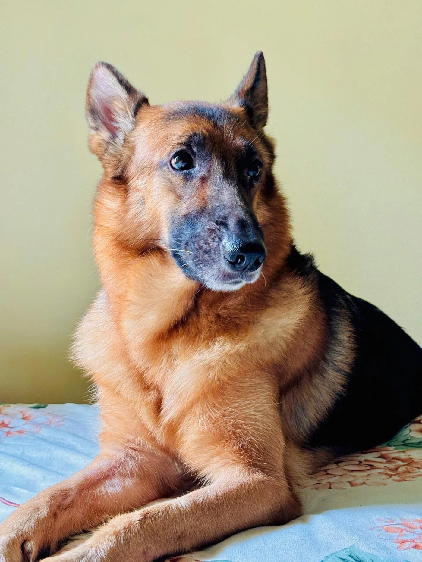 Finding a new home for coco in Bhubaneswar