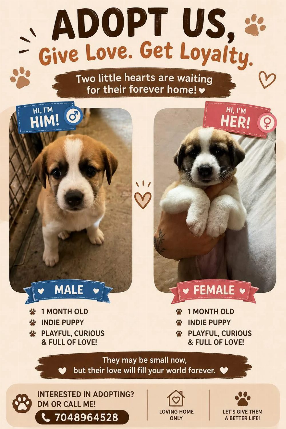 Rescued indie puppies for adoption in Ramesh Nagar — Delhi NCR