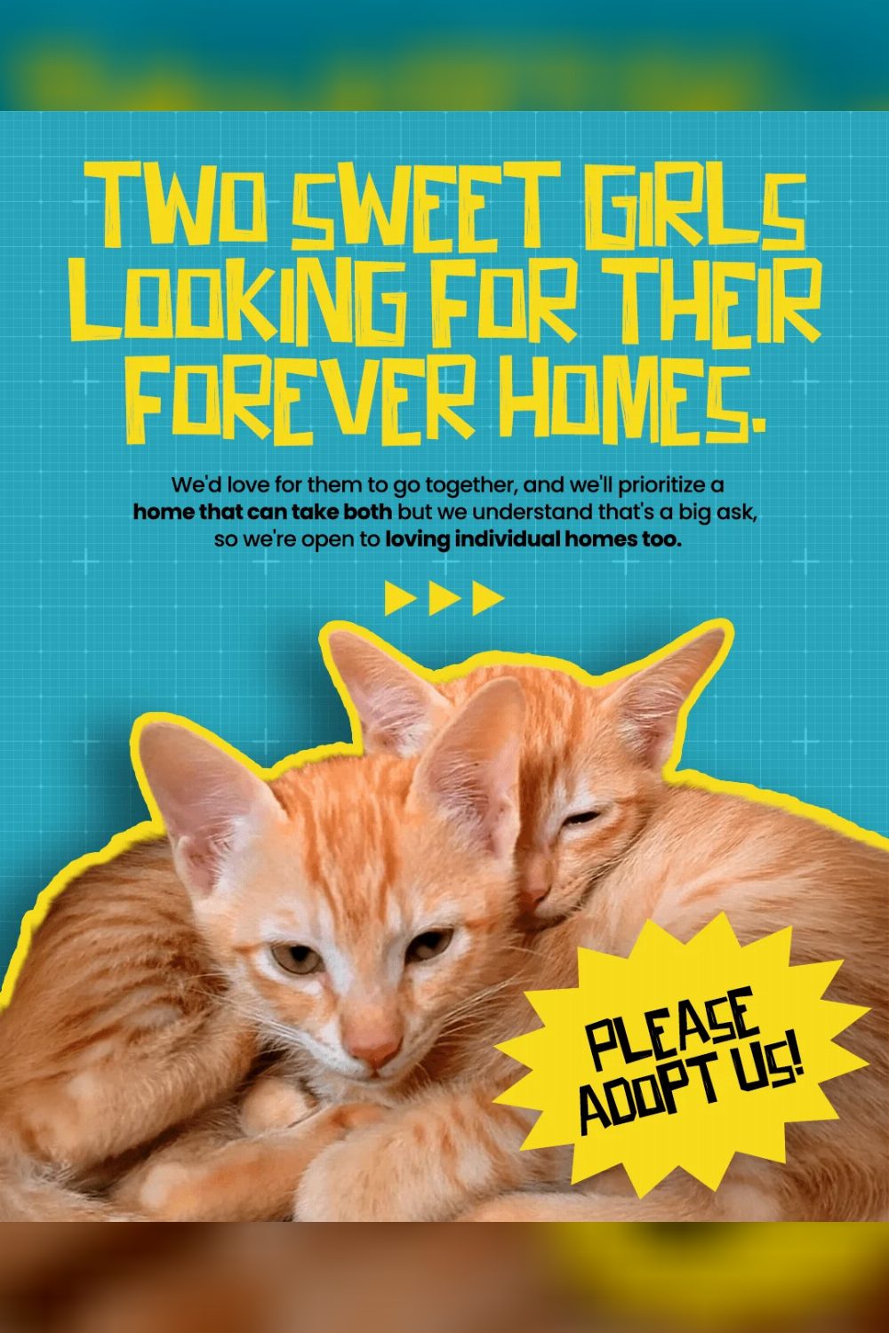 Urgent Adoption Appeal — Bengaluru