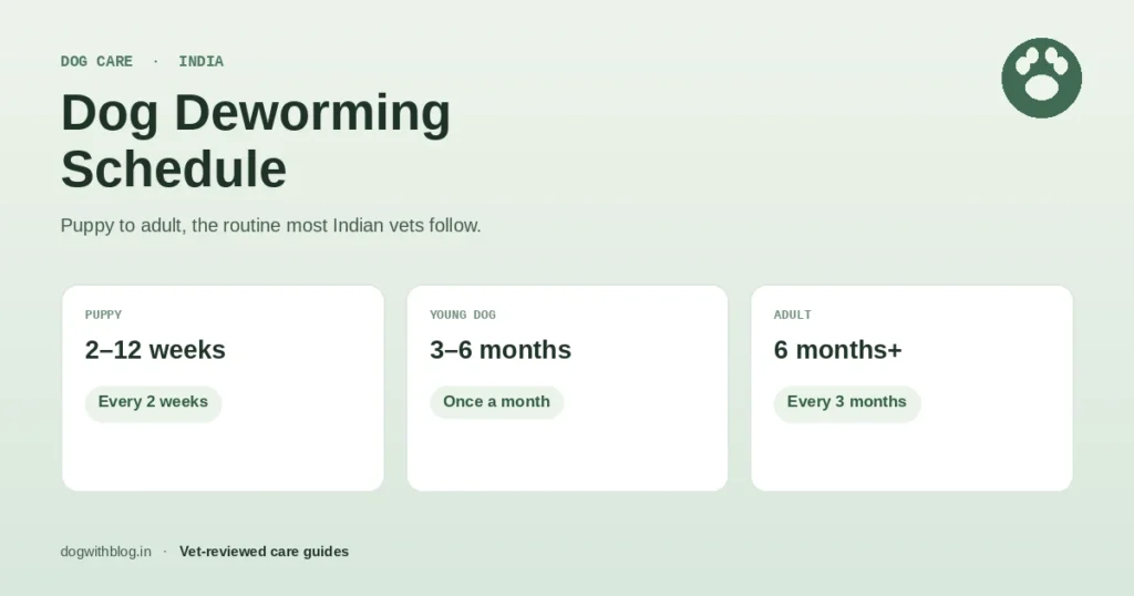 Dog deworming schedule chart for India: puppy every 2 weeks, monthly until 6 months, then every 3 months