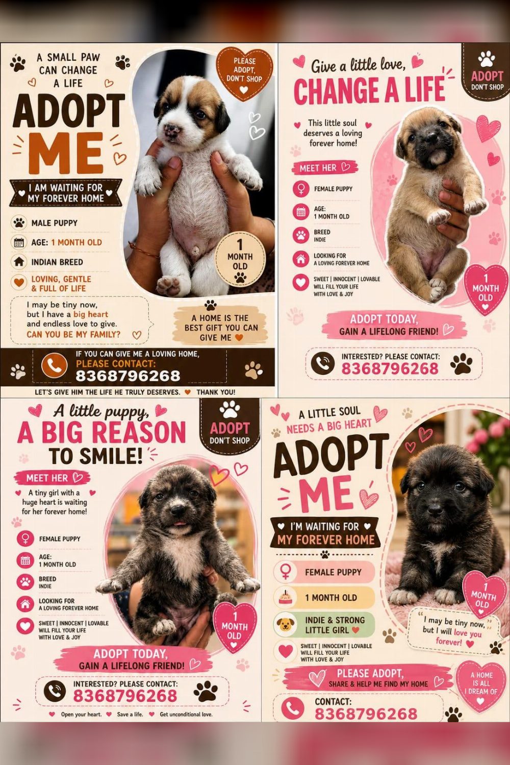 Four one-month-old indie puppies from one rescuer need homes — Delhi NCR
