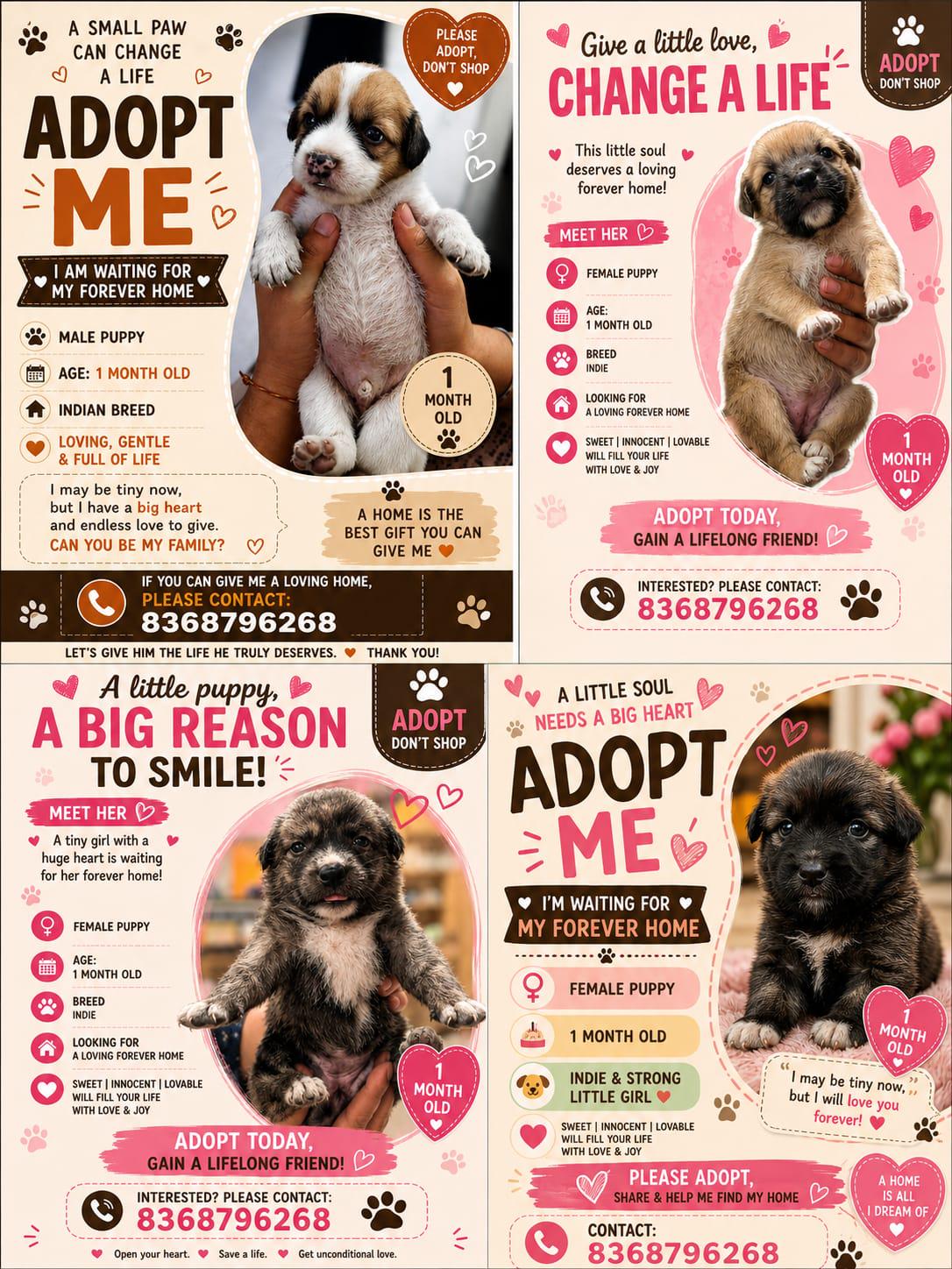 Four one-month-old indie puppies from one rescuer need homes — Delhi NCR