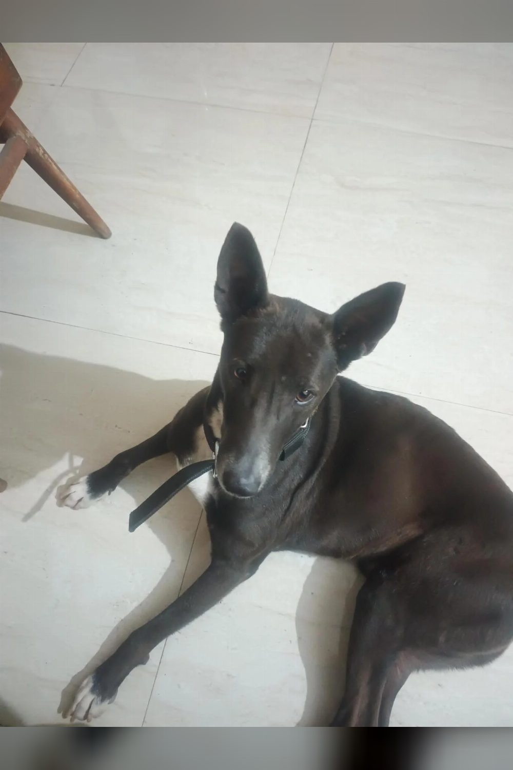 Bullet needs a home — Varanasi