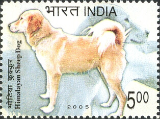 The Himalayan Sheepdog (Bhotia) on a 2005 India Post commemorative postage stamp