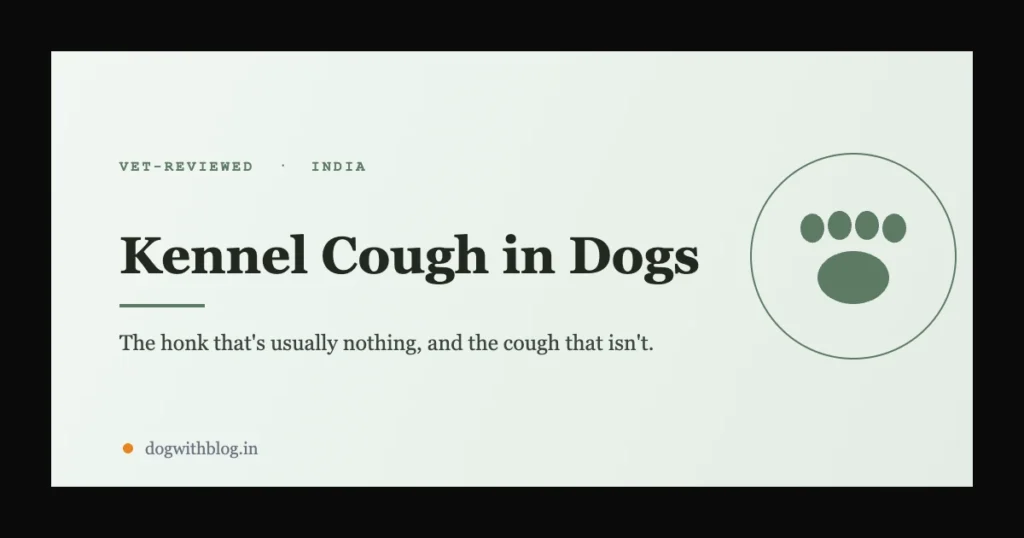 Editorial graphic for a vet-reviewed India guide on kennel cough in dogs: the honk that's usually nothing, and the cough that isn't