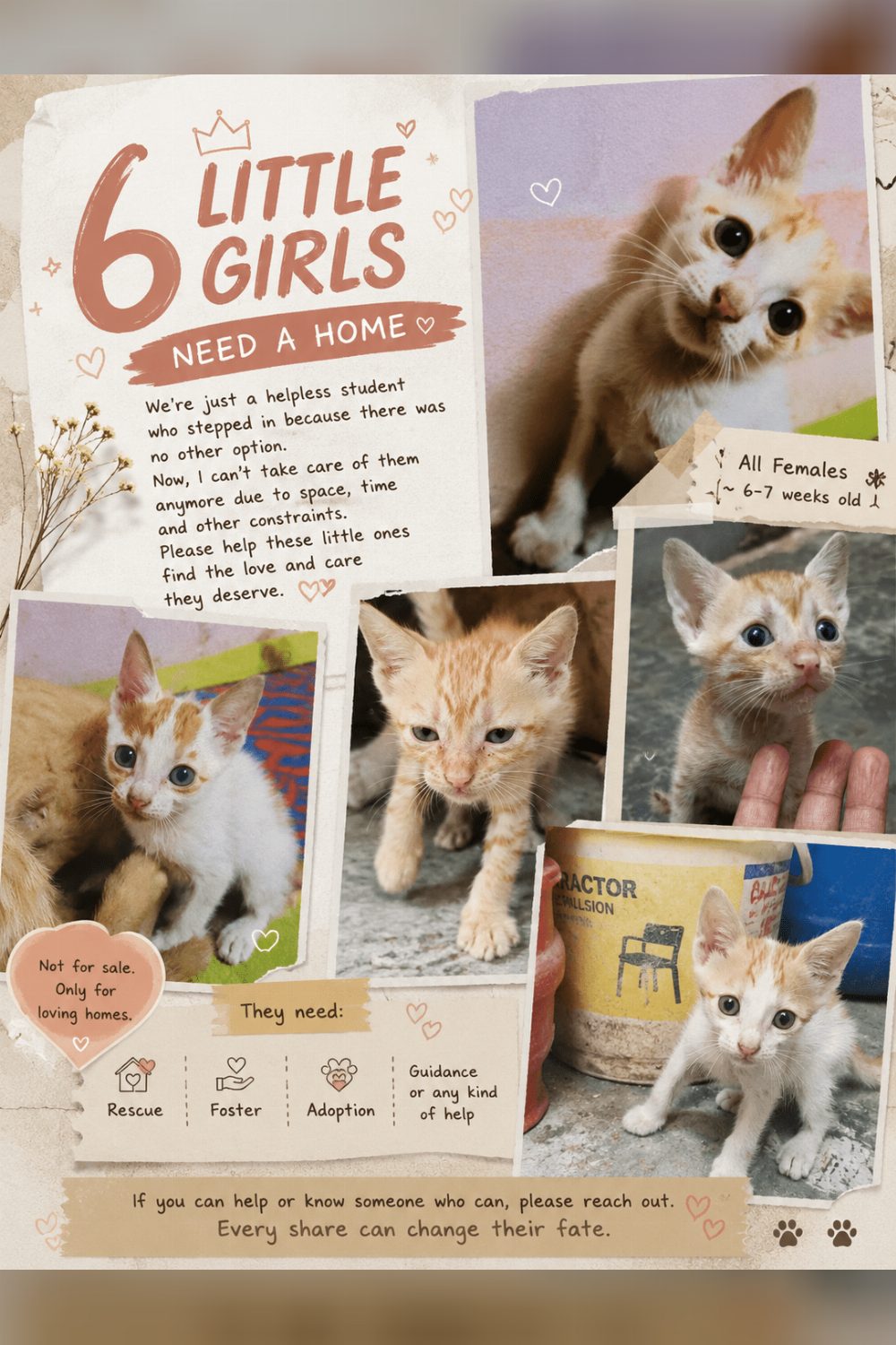 Urgent Adoption appeal for these babies — Mumbai