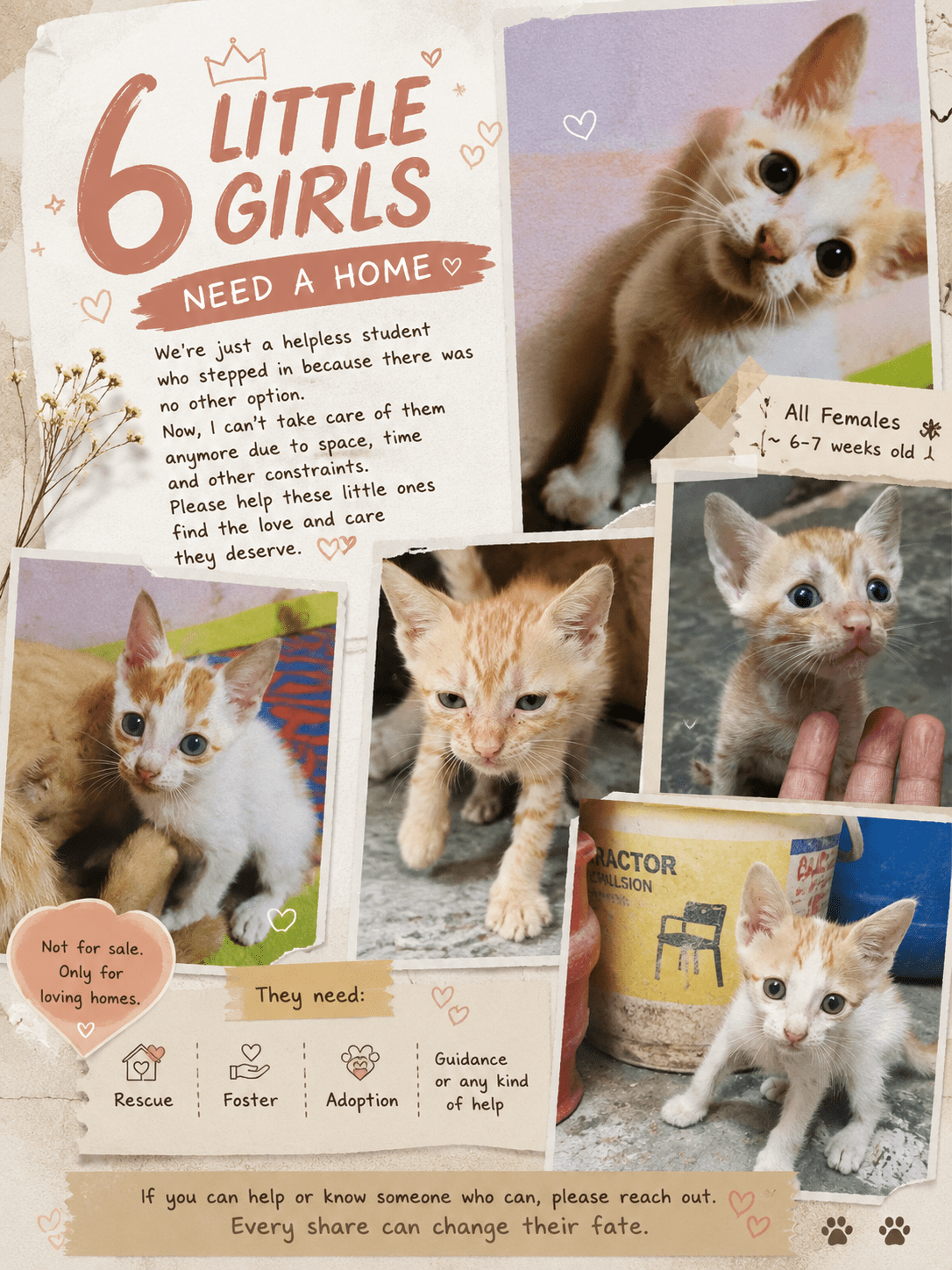 Urgent Adoption appeal for these babies — Mumbai