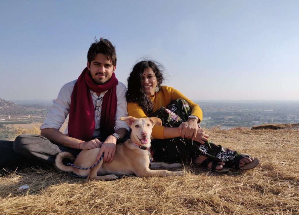 A fawn Pandikona, a native hunting and guarding dog from the Kurnool hills of Andhra Pradesh