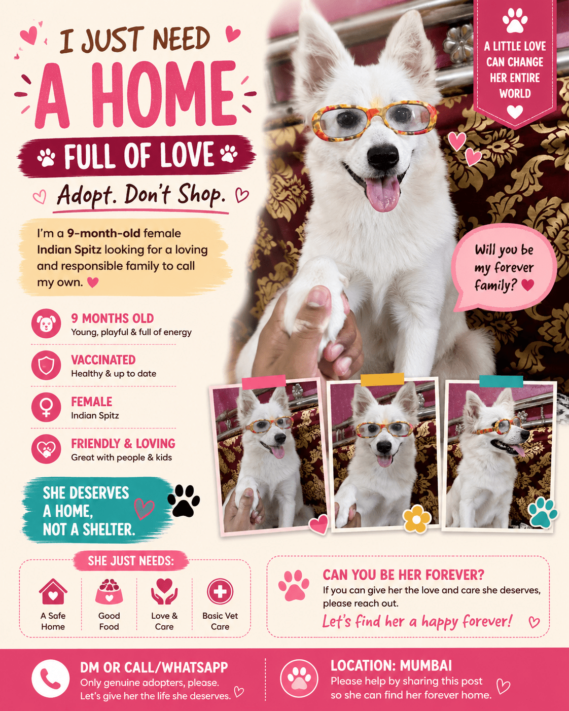Dog Adoption — Mumbai