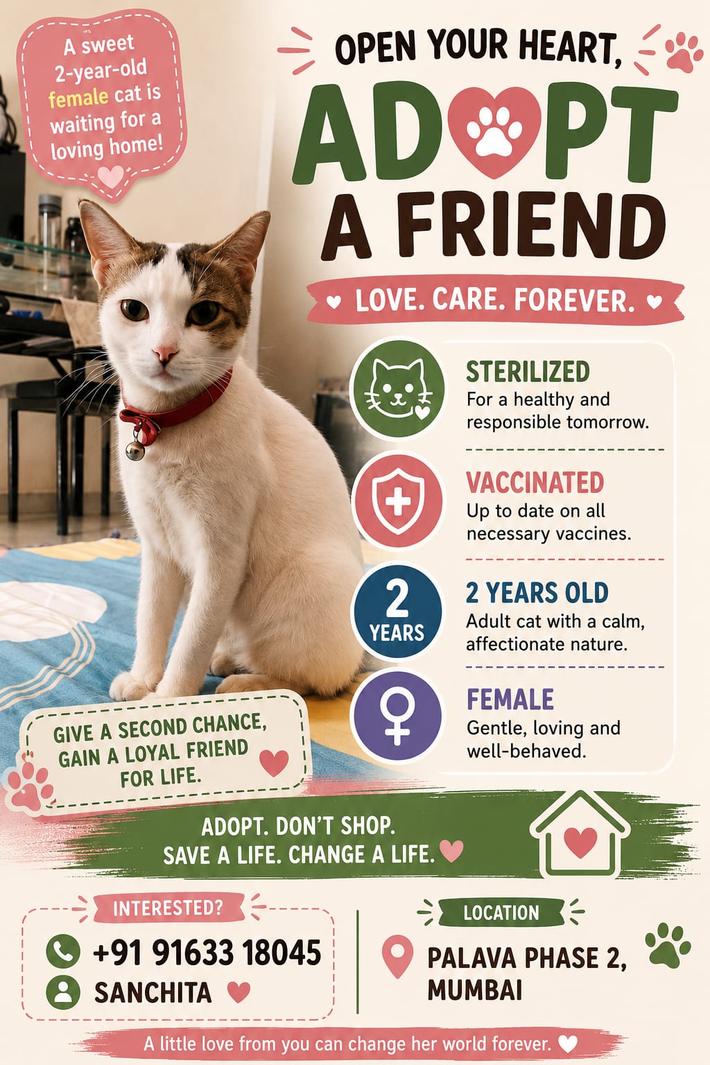Kitten searching for a forever Home — Mumbai