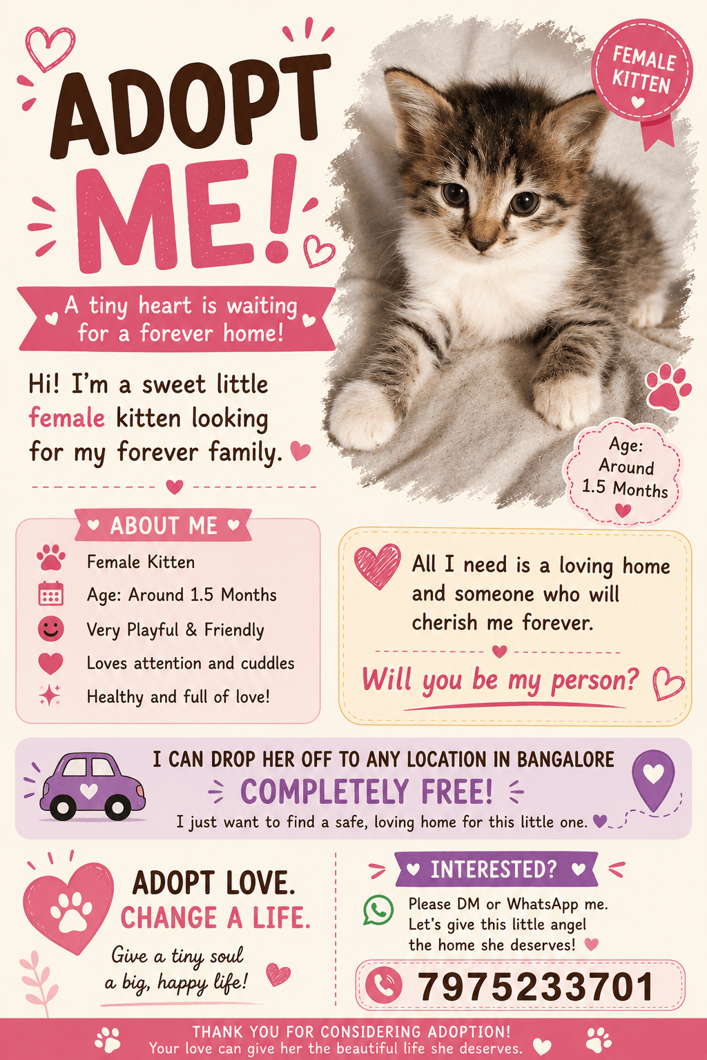 Urgent: Loving Home Needed for an Adorable Female Kitten — Bengaluru