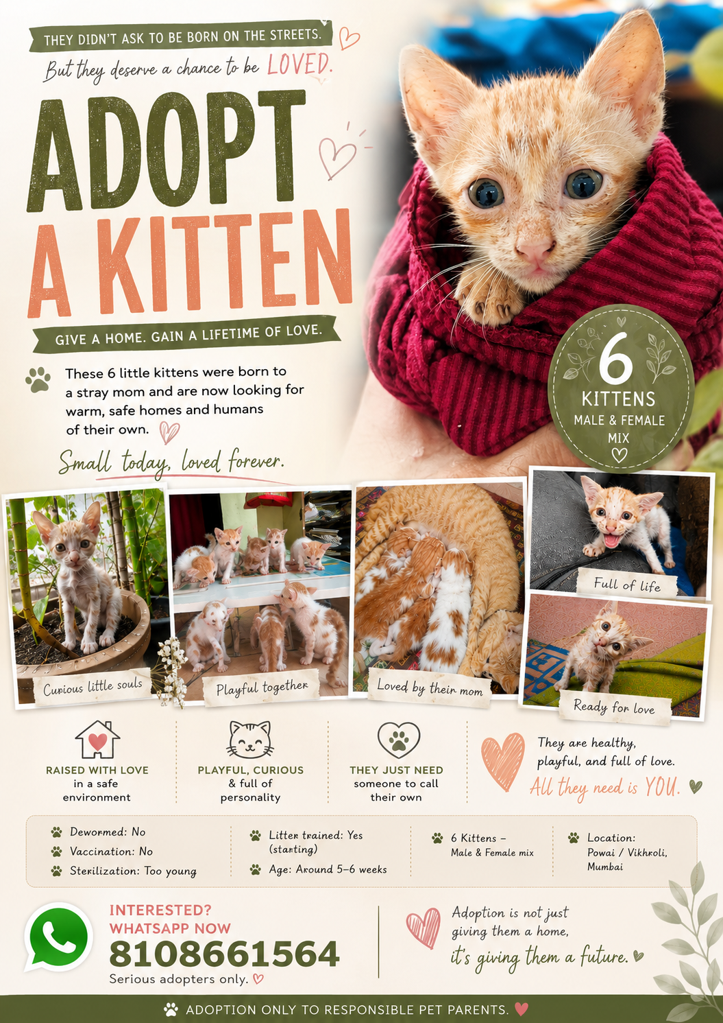 DAY 17 of Not being adopted — Mumbai