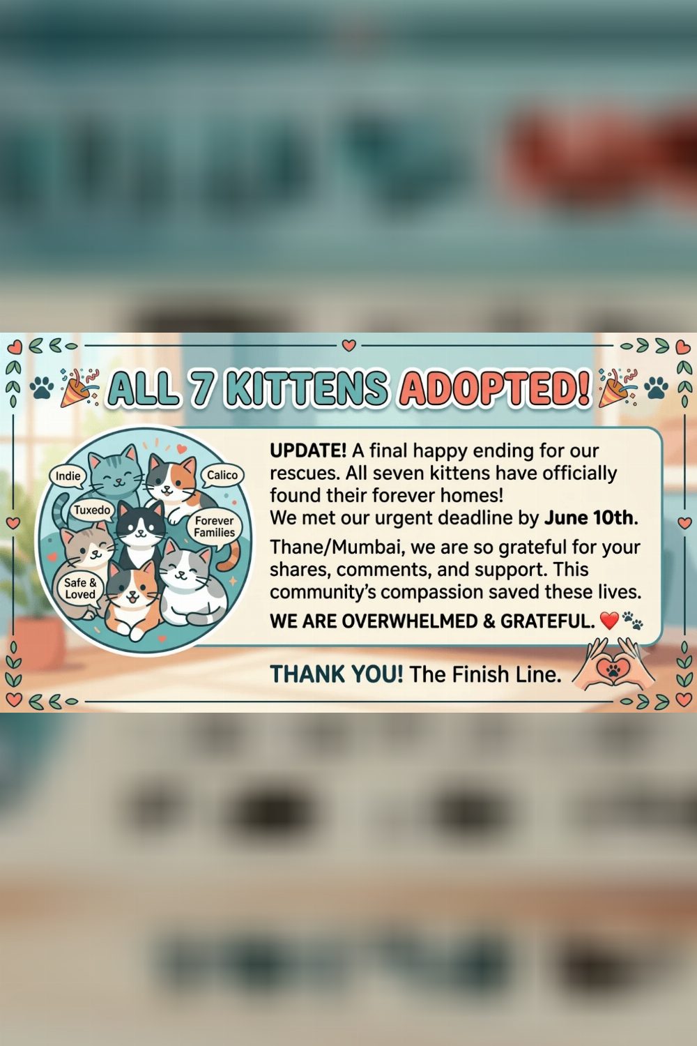 Update: all six foster kittens have found their homes — Mumbai