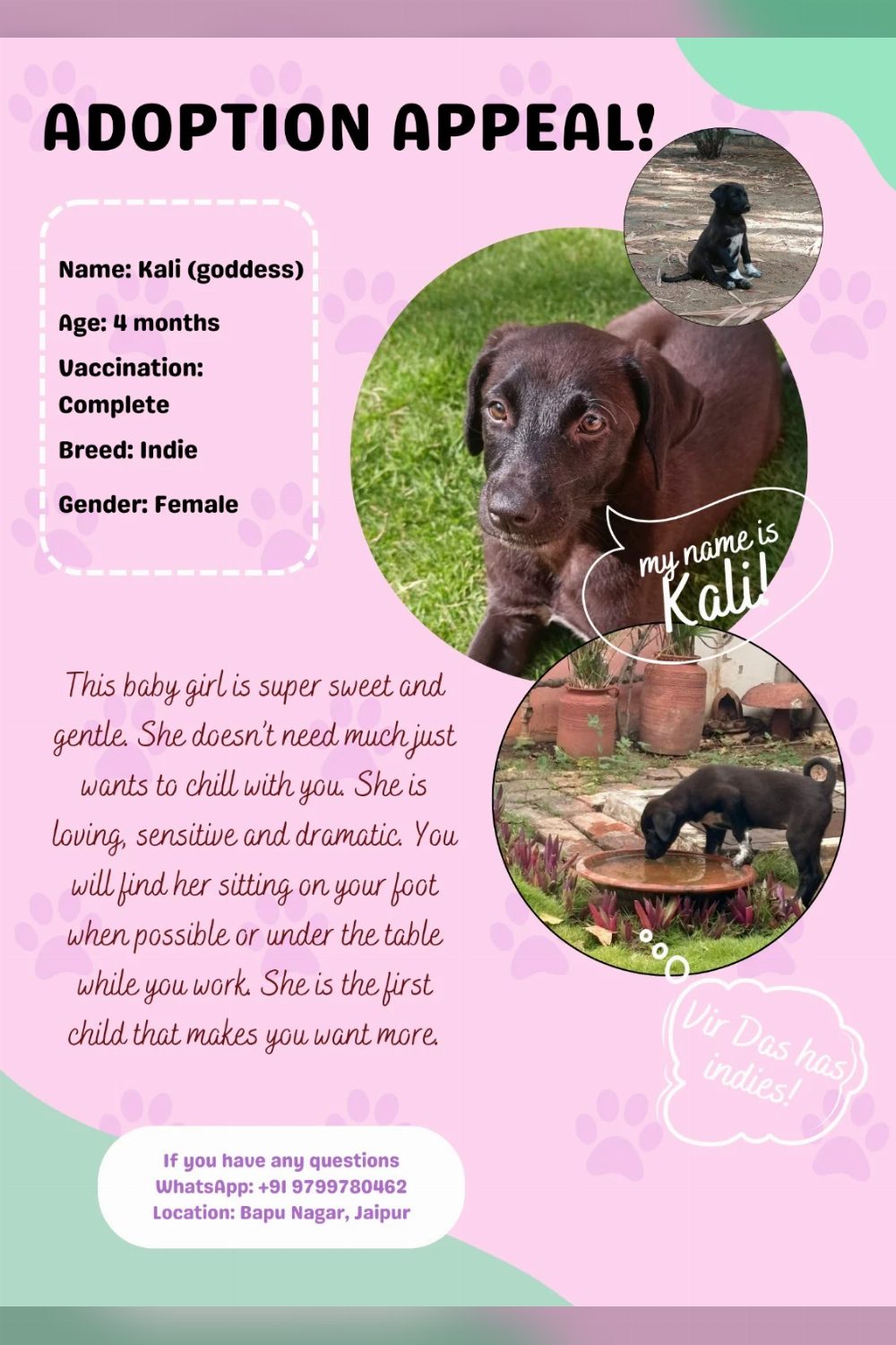 Adoption Appeal! Location: Jaipur