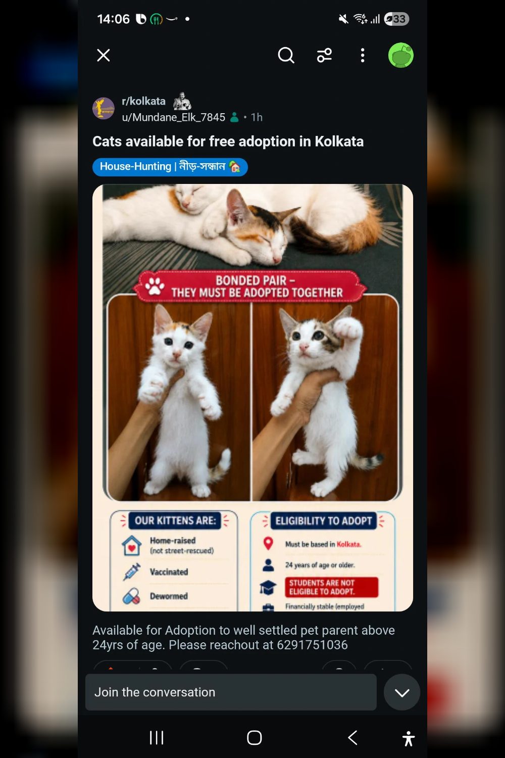 Kittens available for Adoption in Kolkata for free