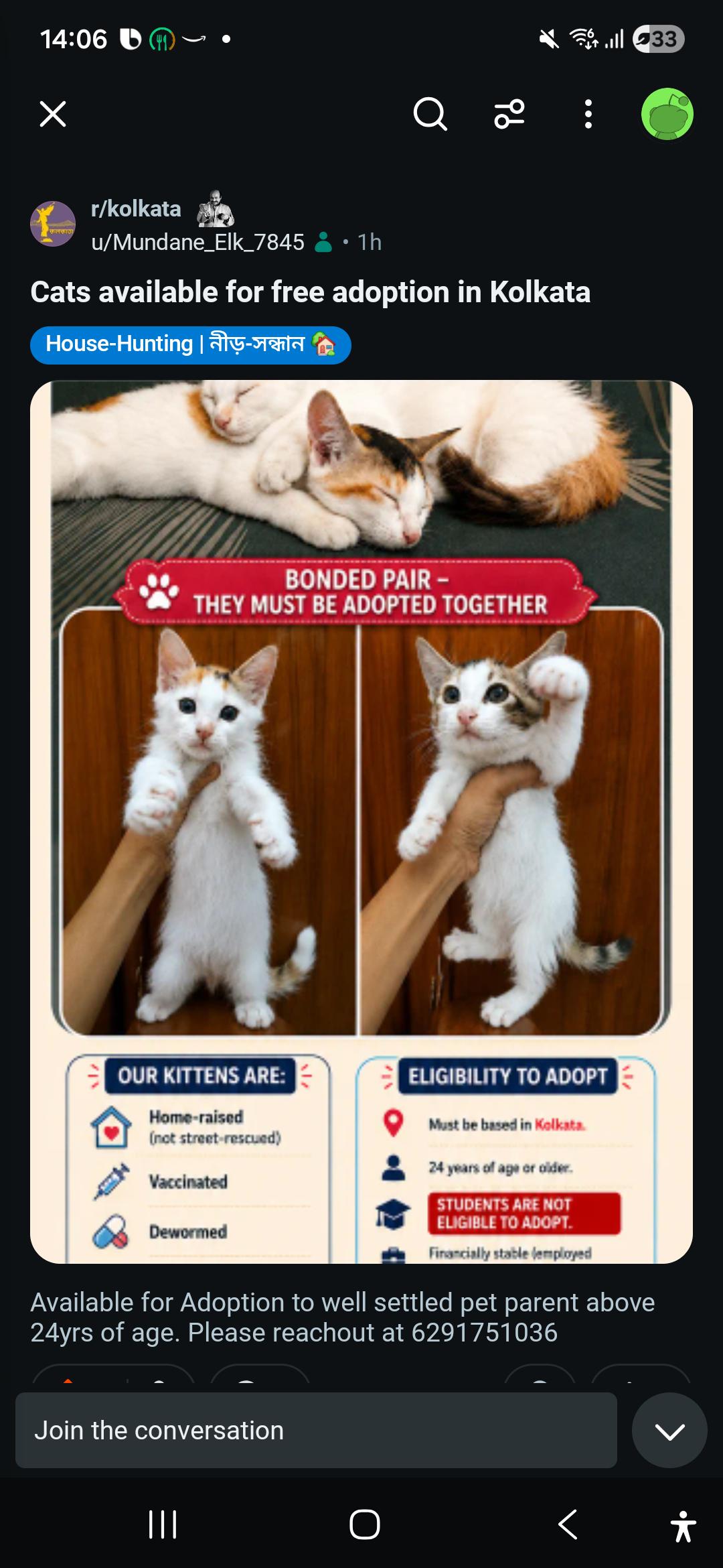Kittens available for Adoption in Kolkata for free
