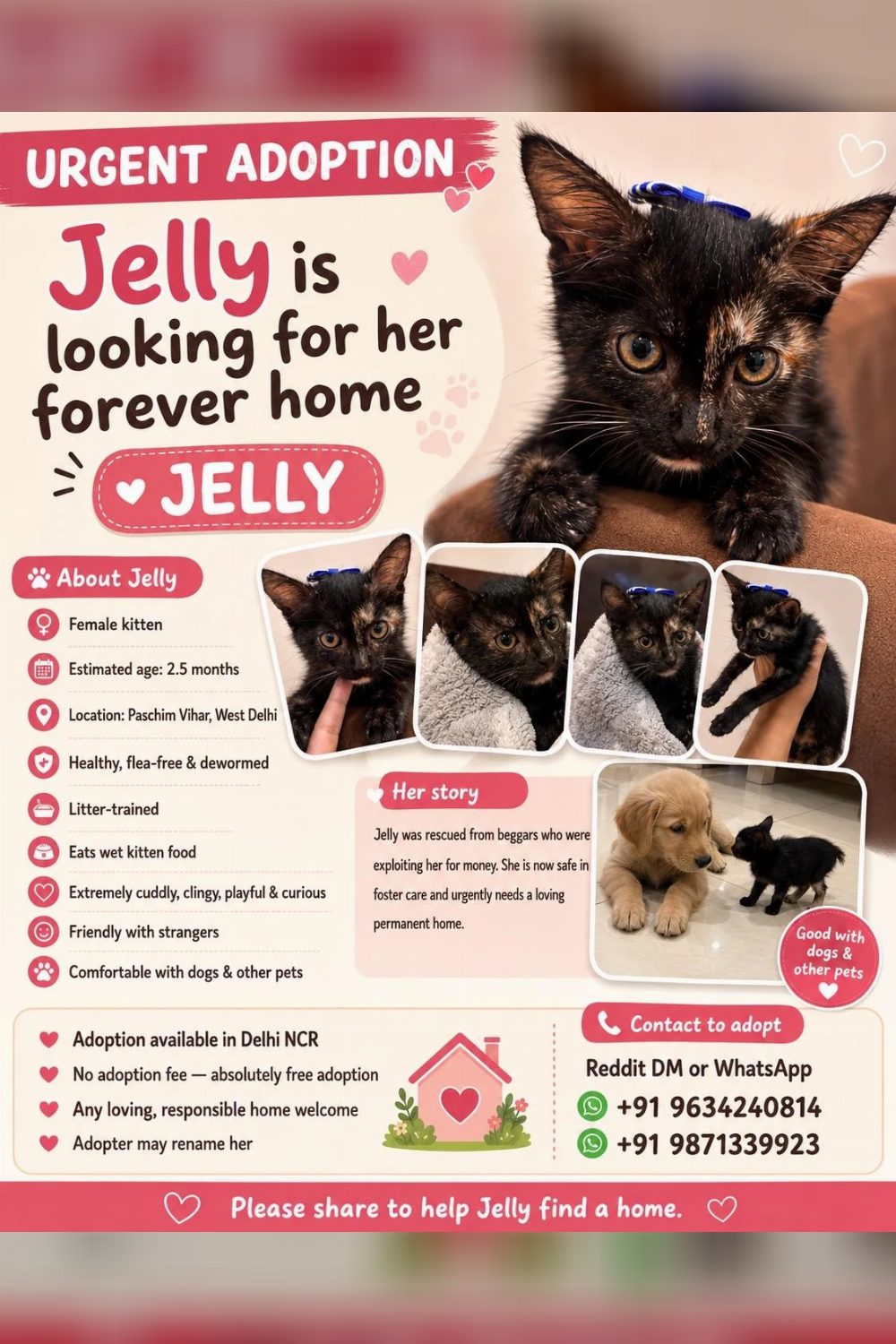 Jelly was being exploited for money. Now she urgently needs a real home — Delhi NCR