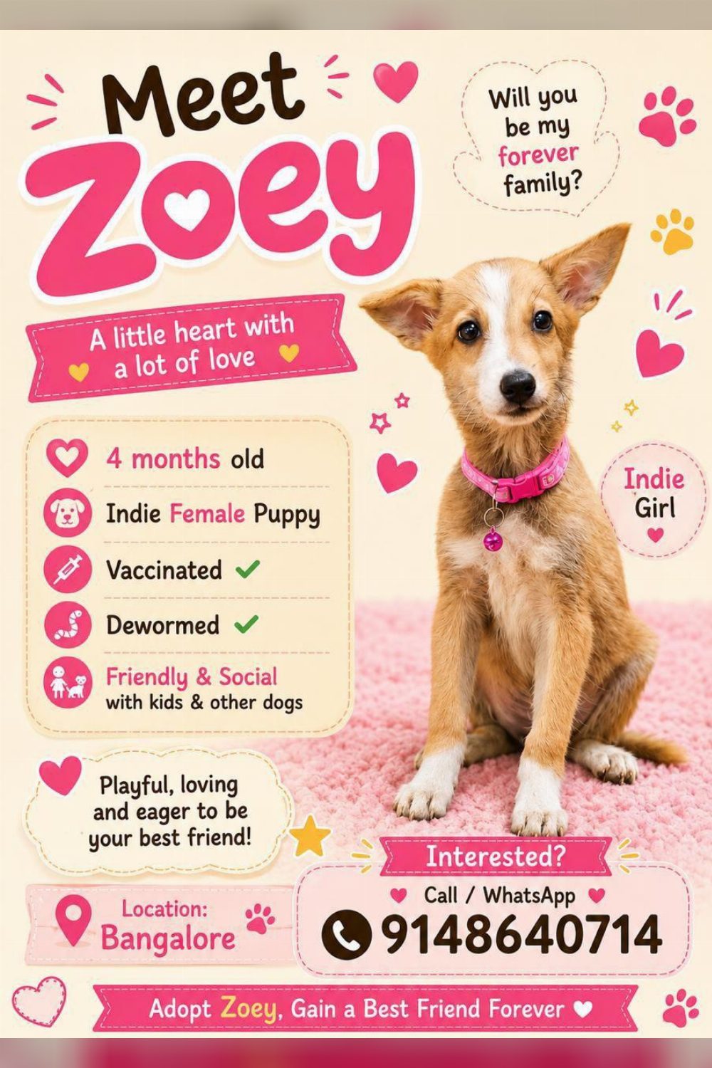 Zoey, a four-month-old indie girl in Bengaluru, is vaccinated and ready