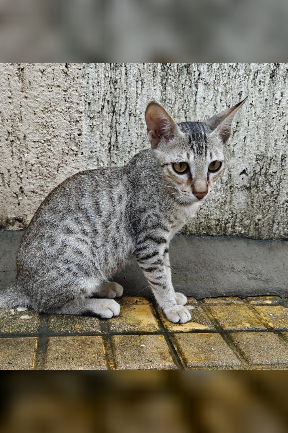 The four-month-old diva with natural kajal eyes — Navi Mumbai