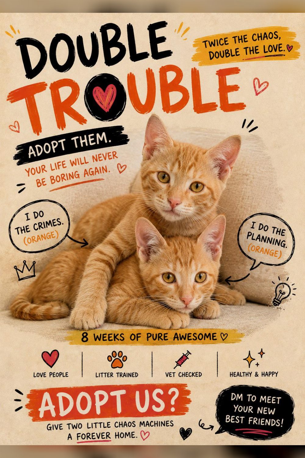 Two orphaned ginger kittens, eight weeks old, need one home together — Bengaluru