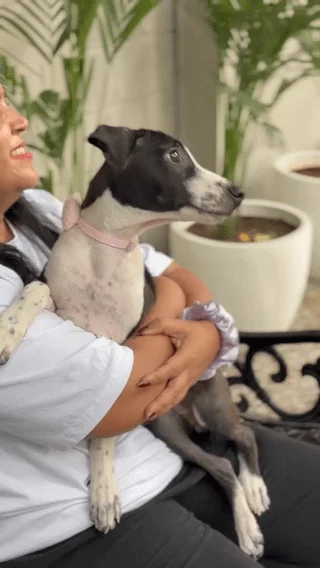 (Delhi) 4 month female pup needs a home. Vaccinated and dewormed - pet for adoption in Delhi NCR