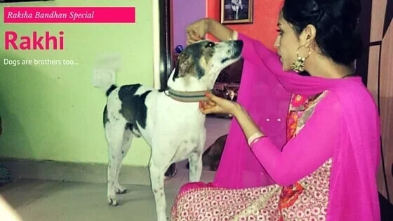 A sister ties a rakhi on her dog for Raksha Bandhan