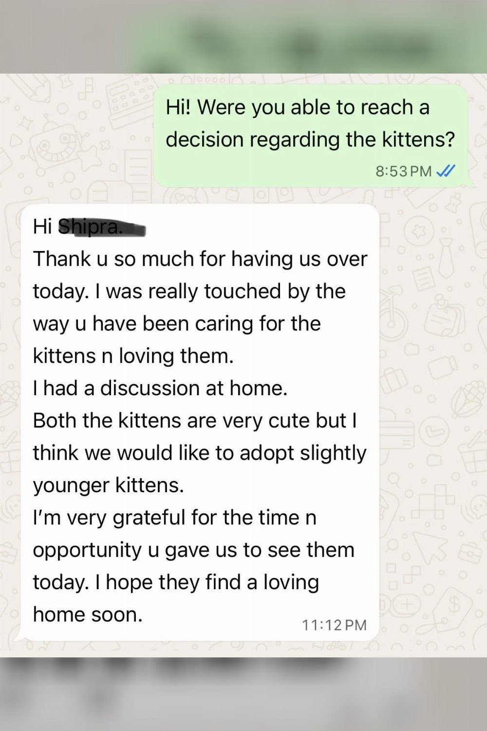Two Orphaned Kittens Are Now Three Months Old and Still Waiting — Delhi NCR