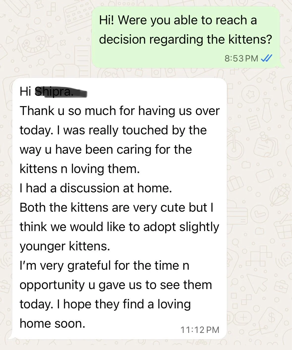 Two Orphaned Kittens Are Now Three Months Old and Still Waiting in Delhi NCR