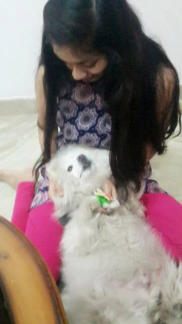 A dog with a rakhi tied on his leg