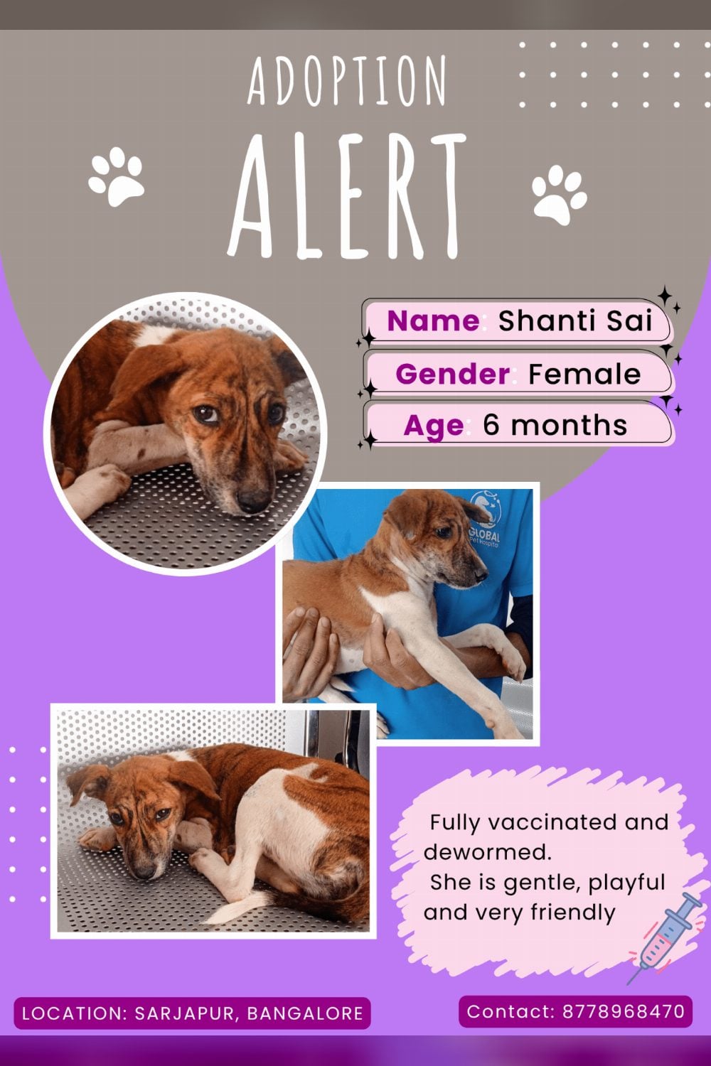 Shanti Sai, a six-month-old indie girl in Sarjapur — Bengaluru
