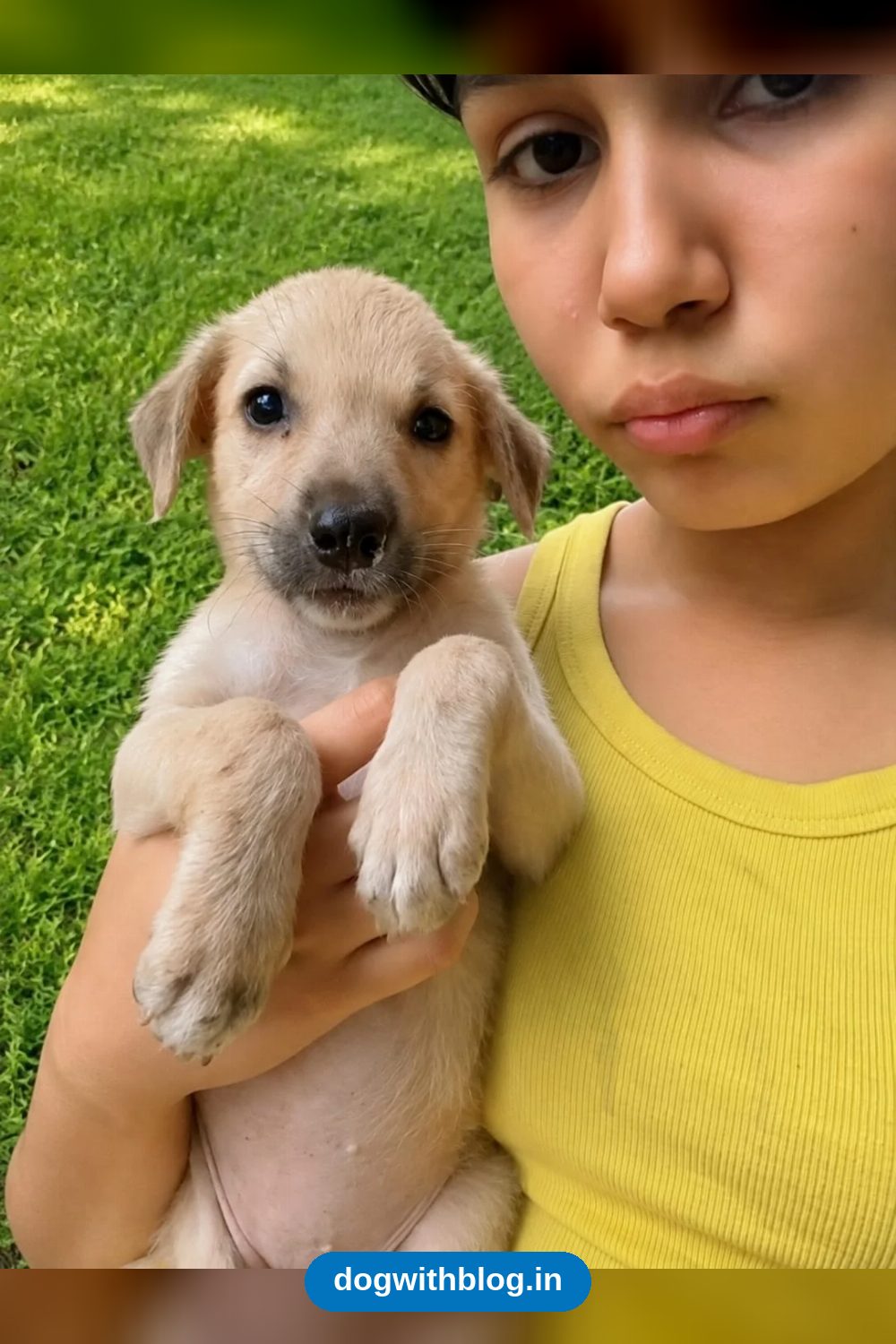 Brownie, a 40-day-old indie puppy abandoned in Mansarovar Garden — Delhi NCR