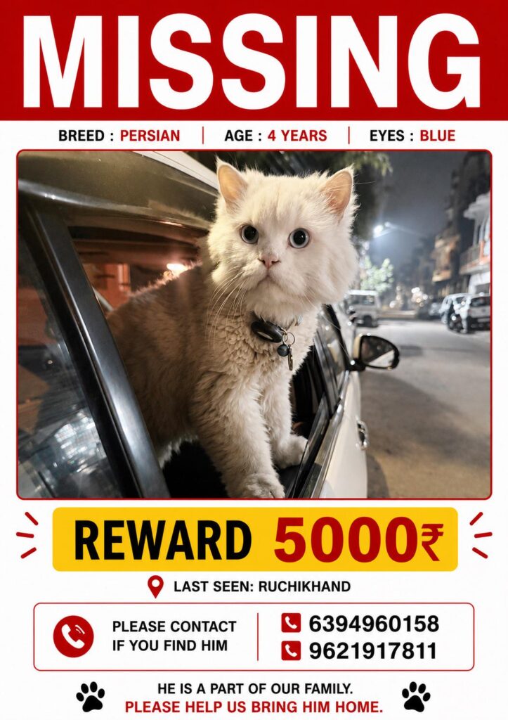 Missing cat poster for a four-year-old white Persian cat with blue eyes, last seen in Ruchi Khand, Lucknow