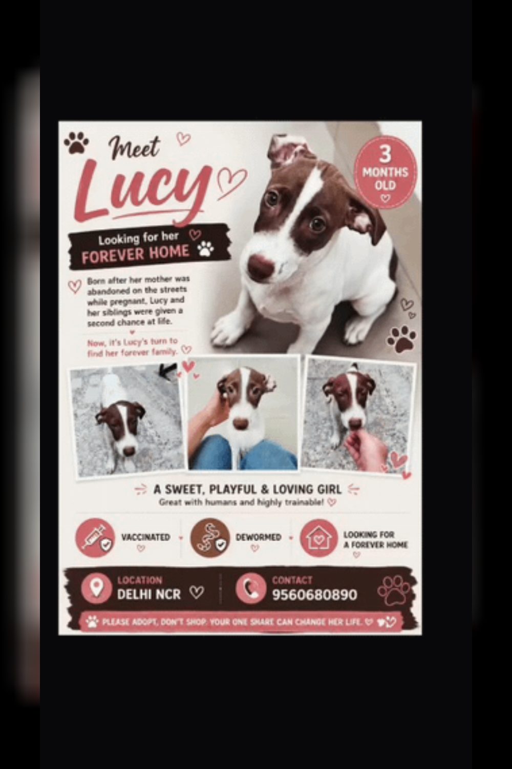 Meet Lucy, a three-month-old puppy from South Delhi