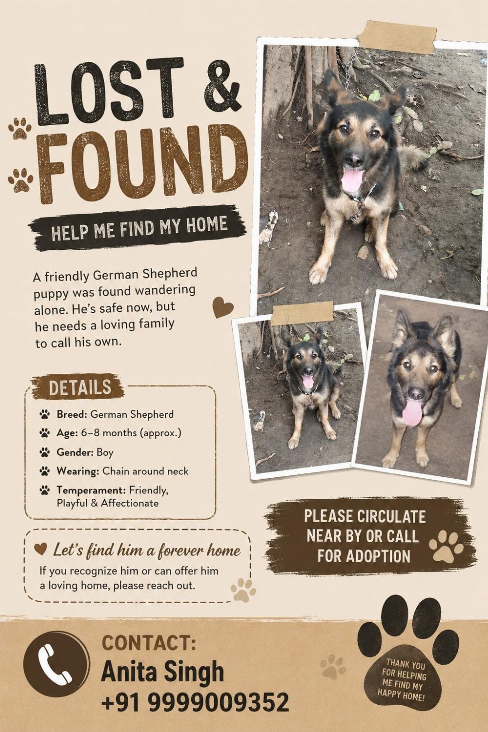 German Shepherd puppy found wandering alone, now needs a home — Delhi NCR