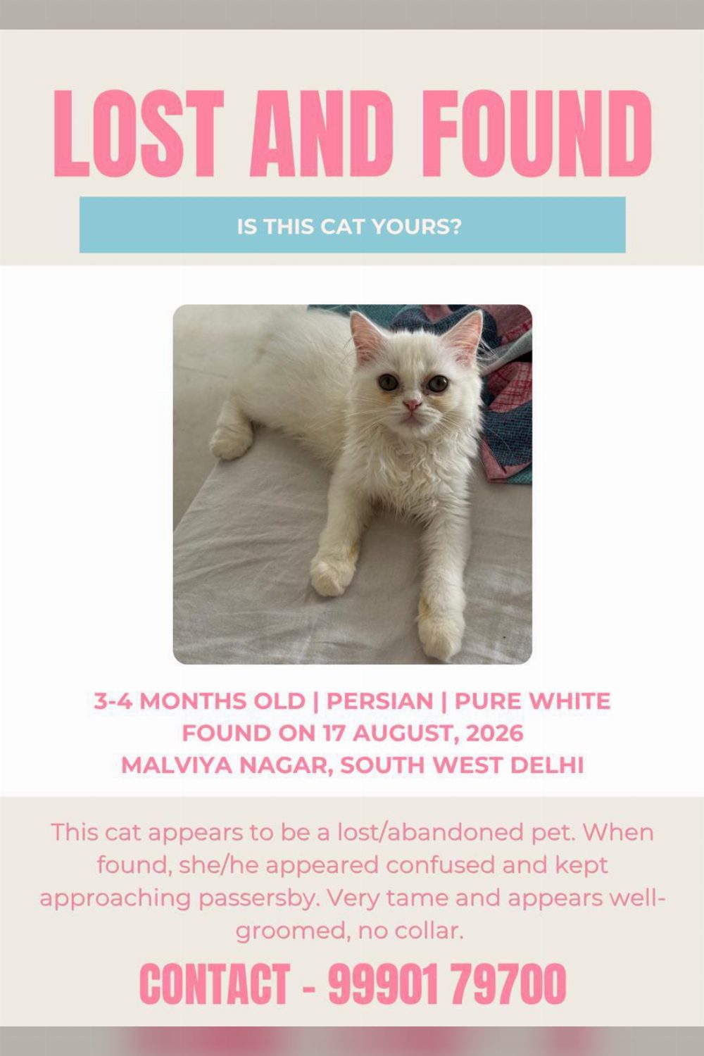 Found Cat — Malviya Nagar — Delhi NCR