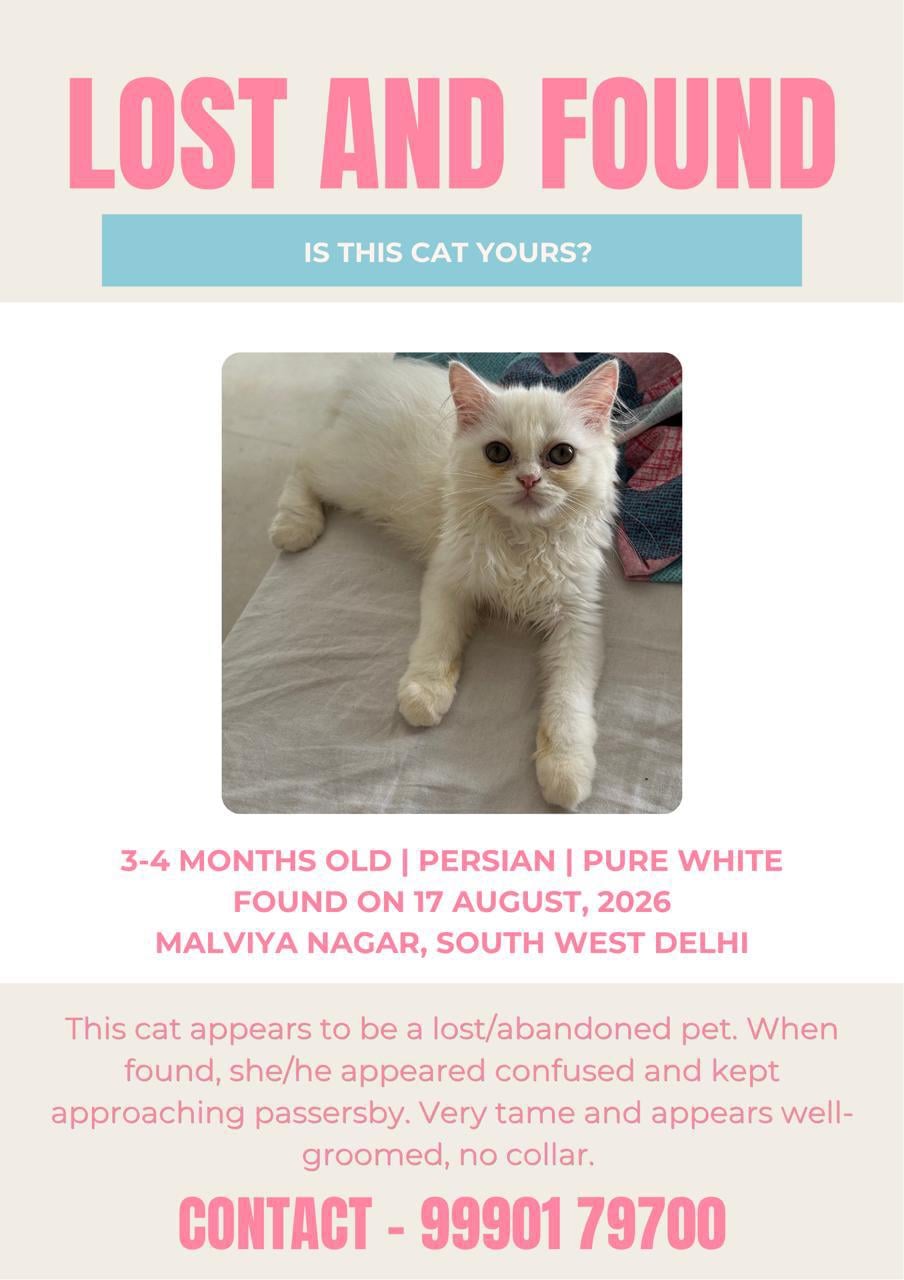 A lost and found notice showing a young pure white Persian cat sitting on a bed, found on 17 August 2026 in Malviya Nagar, South West Delhi.