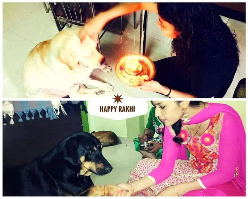 Sisters tie rakhis on their dogs