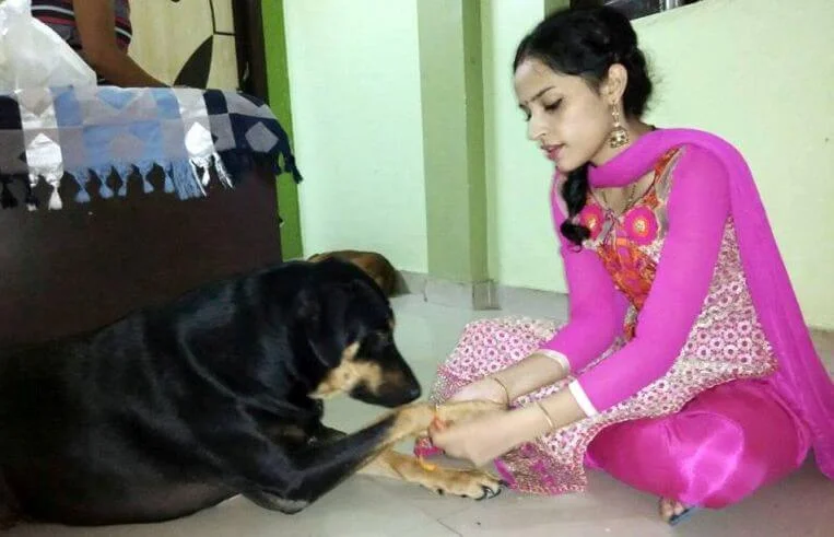 A rescued dog celebrating Rakhi with his sister