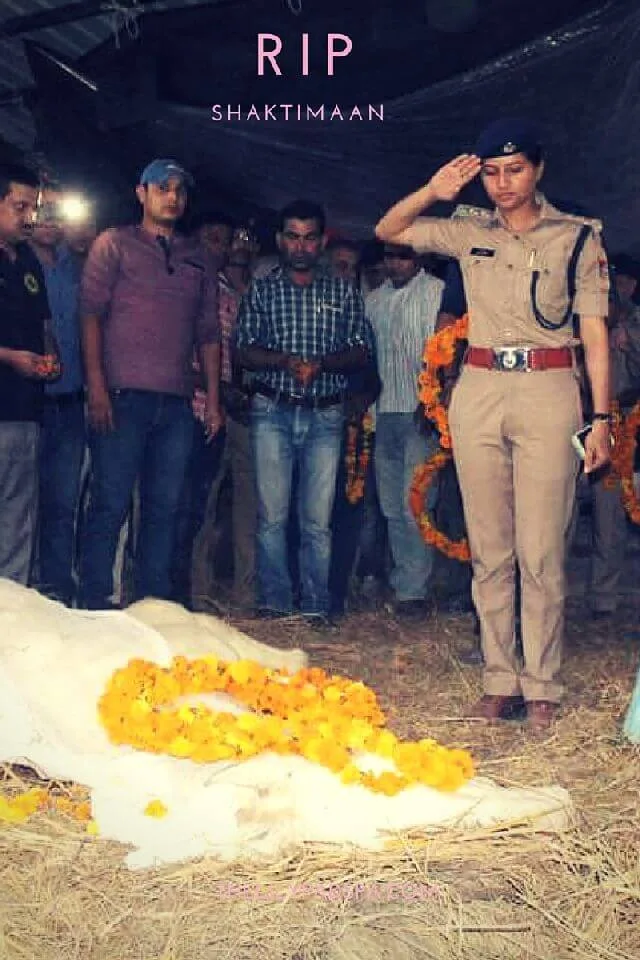 Memorial tribute to police horse Shaktiman after his death, April 2016