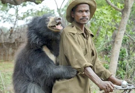 Ram Singh Munda with his pet sloth bear Rani in Rutisila village, Keonjhar district, Odisha