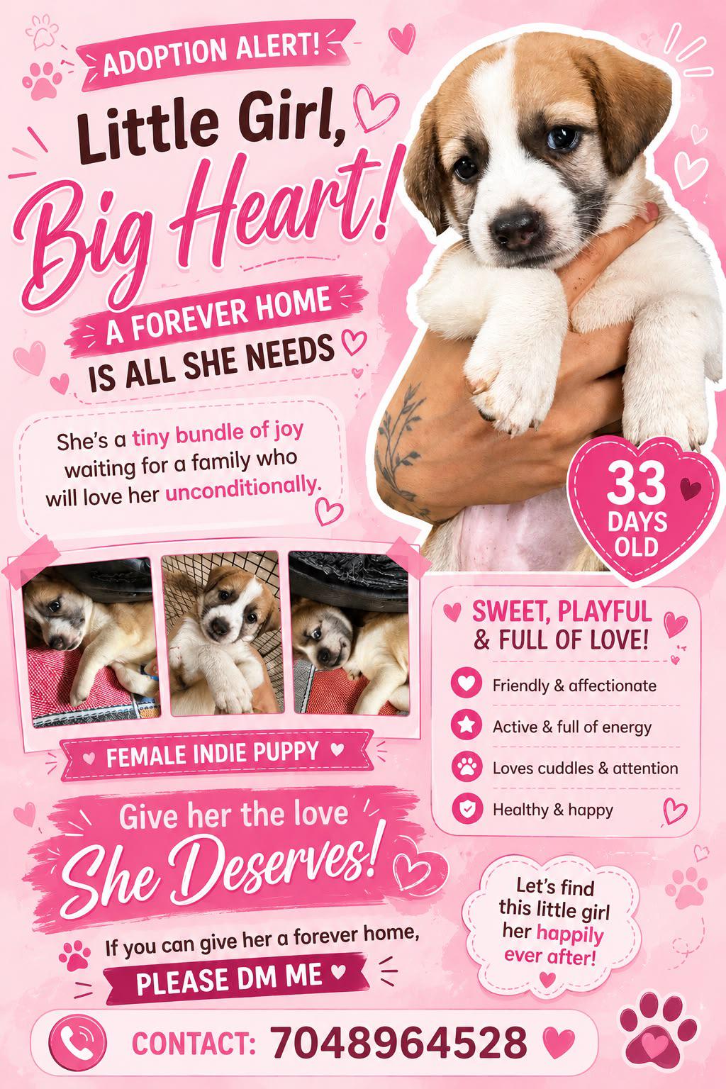 Female Indie Puppy for Adoption in Ramesh Nagar, Delhi