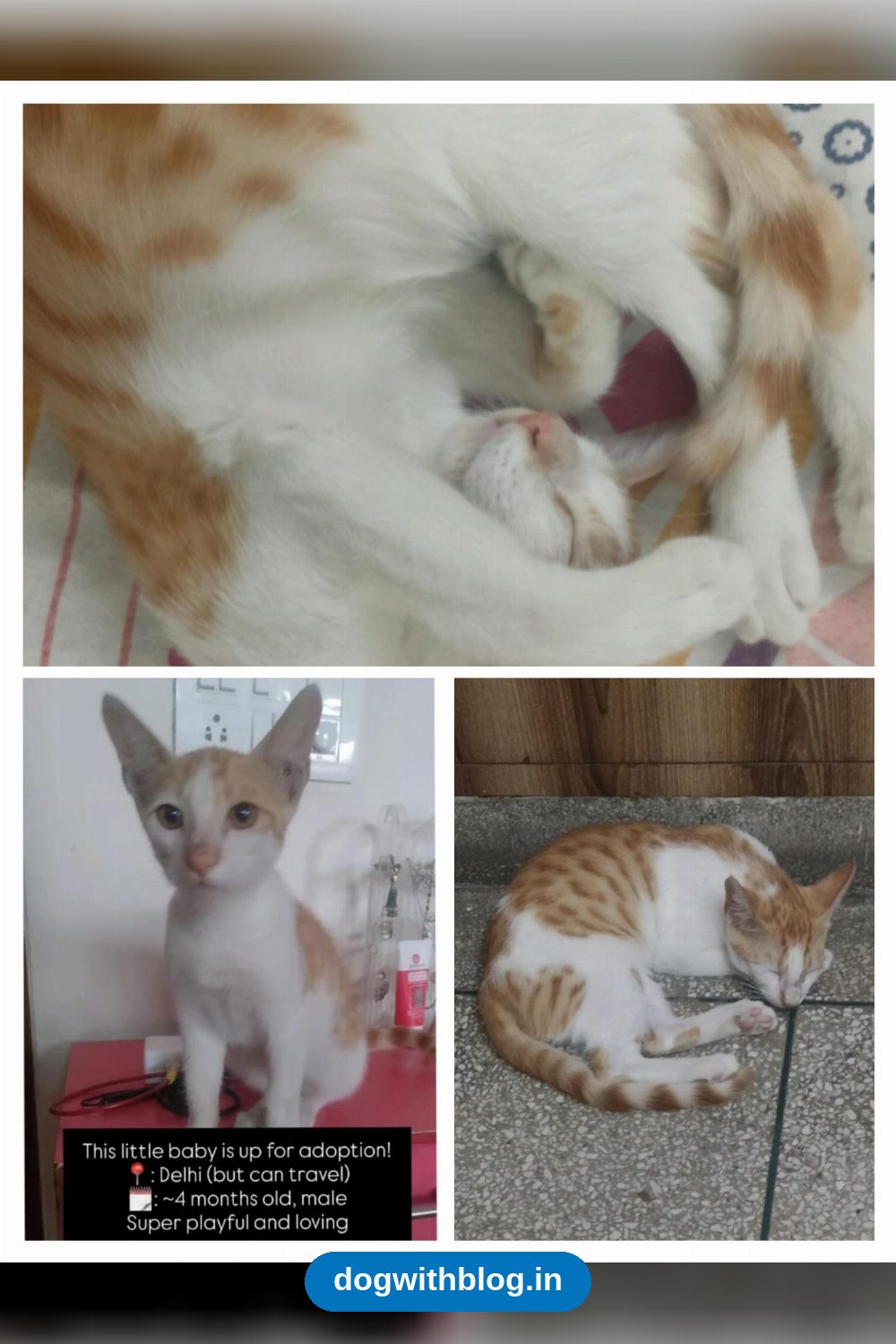 His Mother Rejected Him, Now He Needs a Stable Home — Delhi NCR