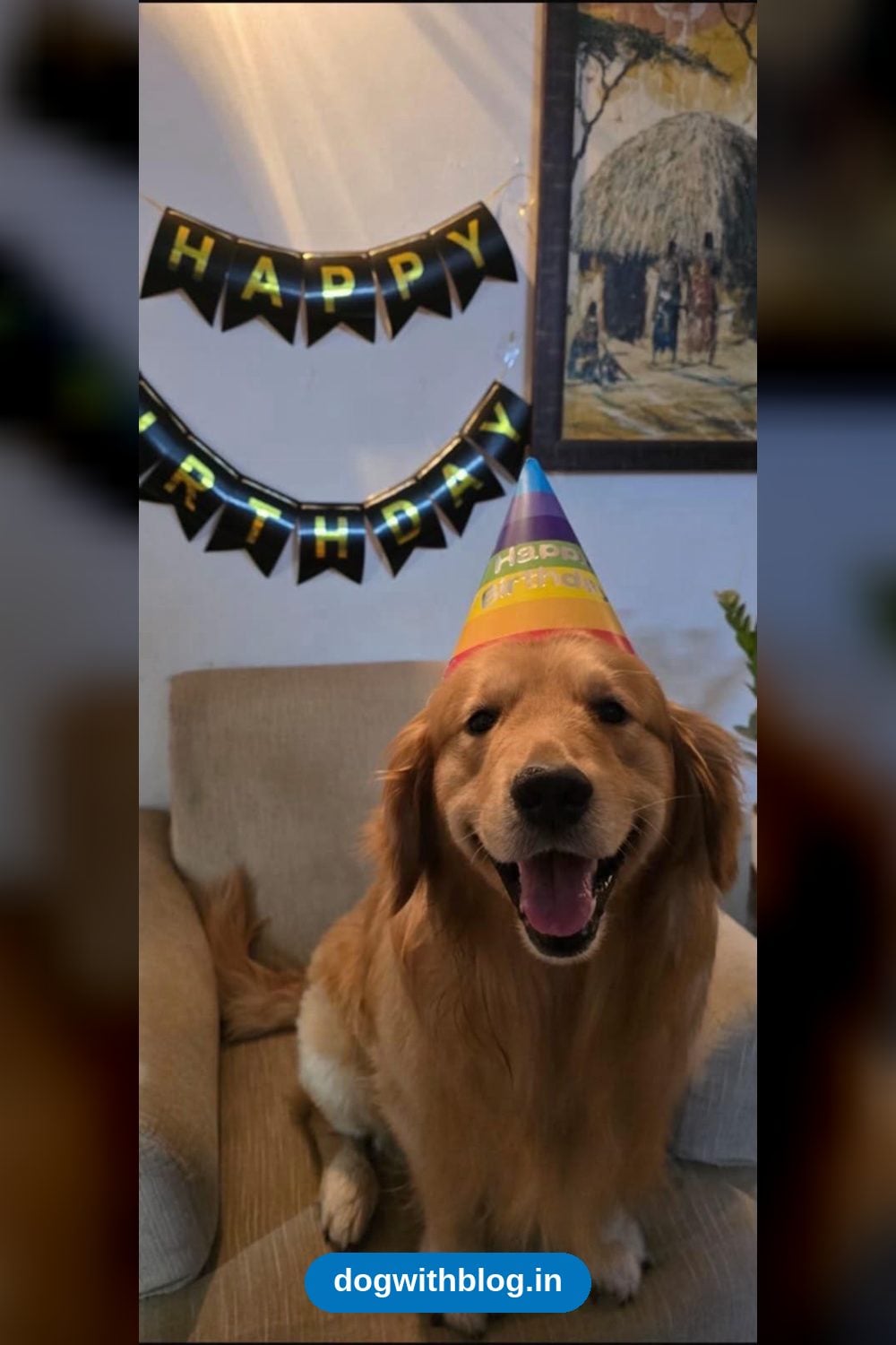 Benzi, a 3-Year-Old Golden Retriever, Needs a New Home — Delhi NCR